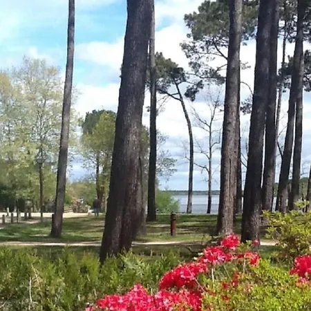 Au Bon Coin Du Mimizan-Plage