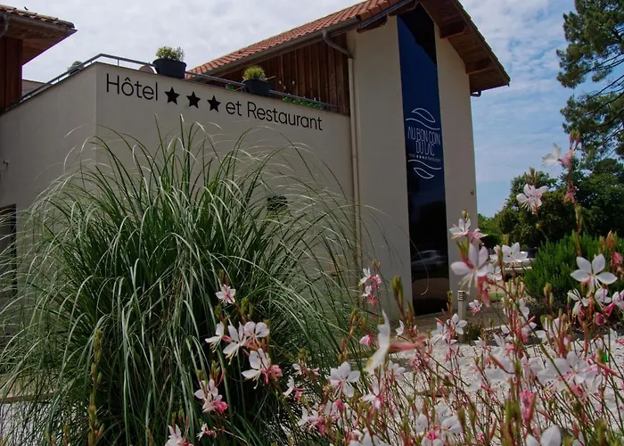 Au Bon Coin Du Mimizan