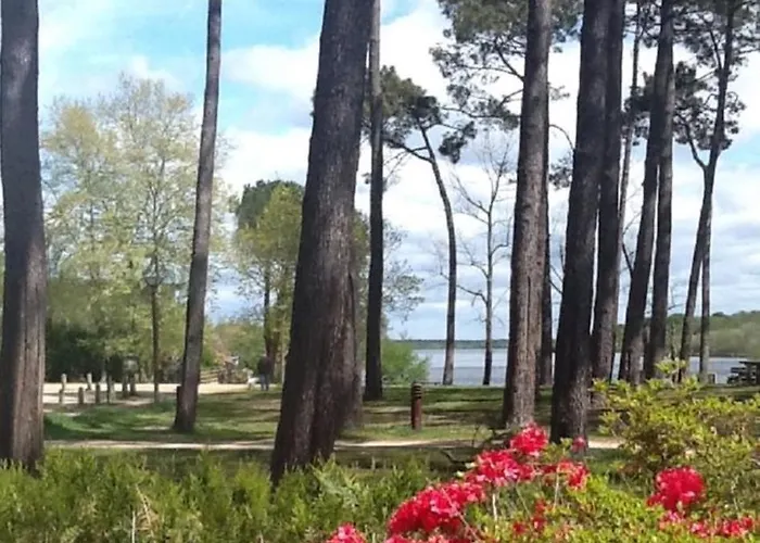 Au Bon Coin Du Mimizan-Plage